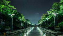 世纪公园和徐汇滨江跑道升级 更规范和人性化[图]