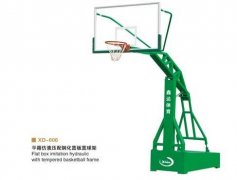 篮球架5