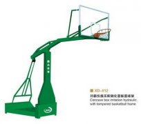 篮球架4